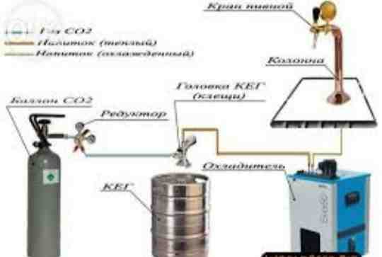 Оборудование для пив бара