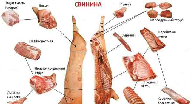 Для ресторанов, кафе, шашлычных и час. лич