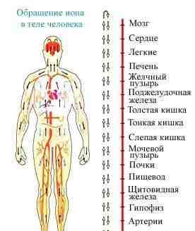 Ванна для ног с Системой Ионной Детоксикации