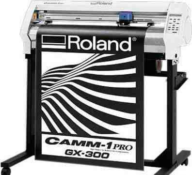 Roland GX-300 camm-1