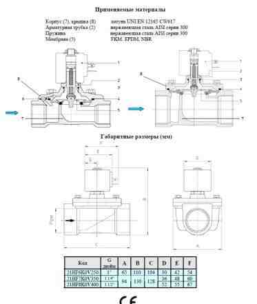 Клапан электромагнитный ODE 21HF6K0V250