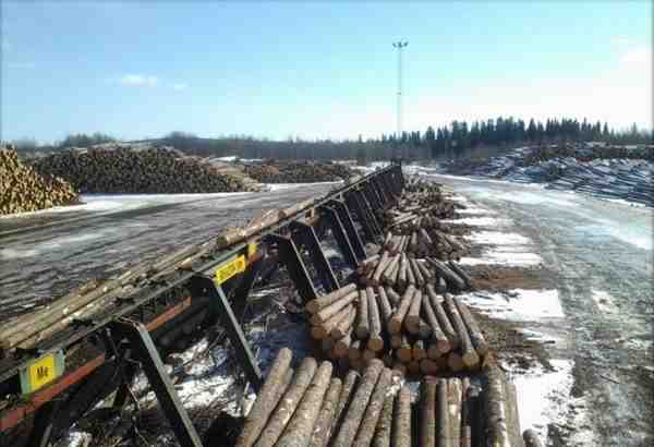 Линия сортировки бревен б/у